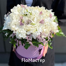 Композиция Elixir